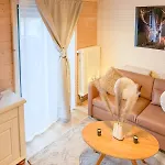 10-personen-wellness-chalet In Erster Reihe Am